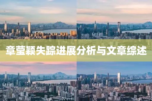 章莹颖失踪进展分析与文章综述