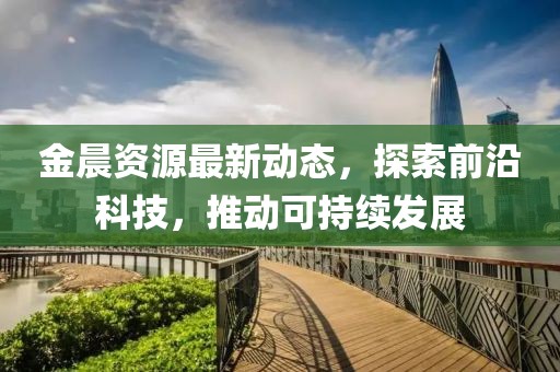 金晨资源最新