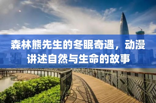 森林熊先生的冬眠奇遇，动漫讲述自然与生命的故事