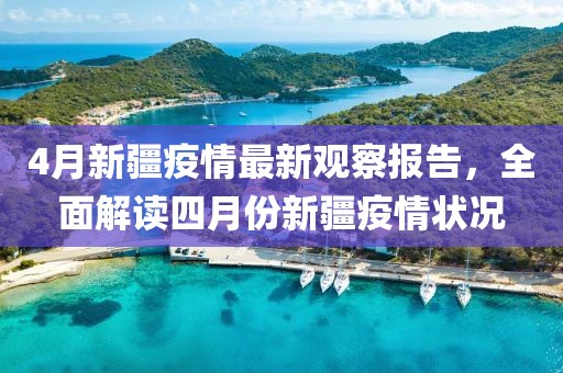 4月新疆疫情最新观察报告，全面解读四月份新疆疫情状况