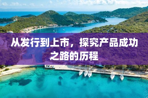 从发行到上市，探究产品成功之路的历程