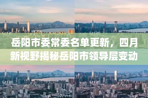 岳阳市委常委名单更新，四月新视野揭秘岳阳市领导层变动