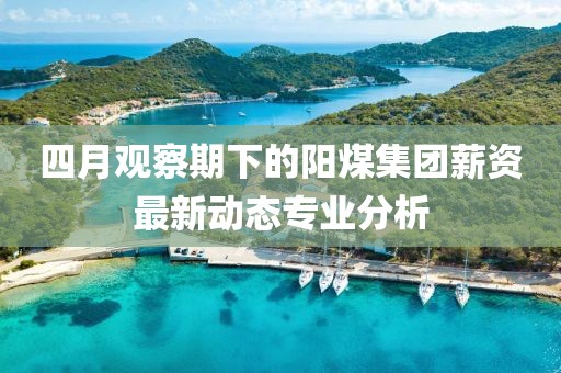 四月观察期下的阳煤集团薪资最新动态专业分析