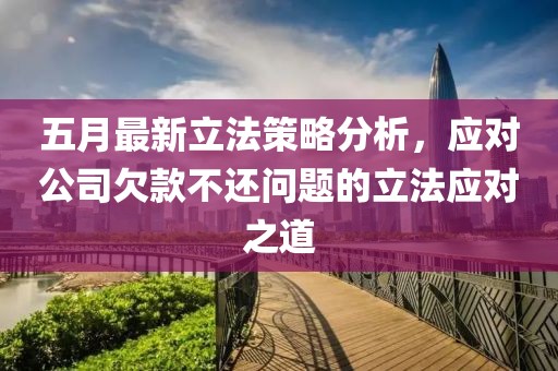 五月最新立法策略分析，应对公司欠款不还问题的立法应对之道