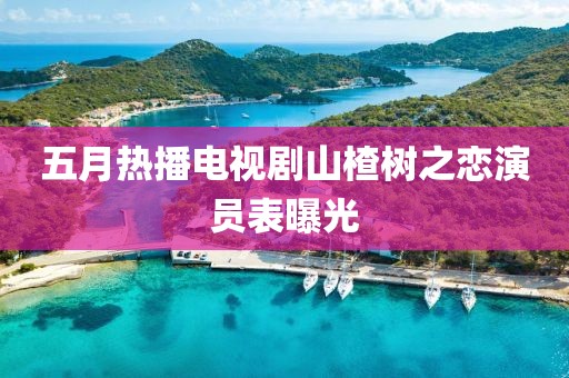 五月热播电视剧山楂树之恋演员表曝光