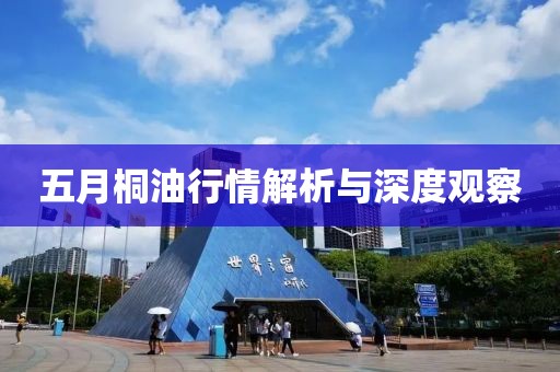 五月桐油行情解析与深度观察