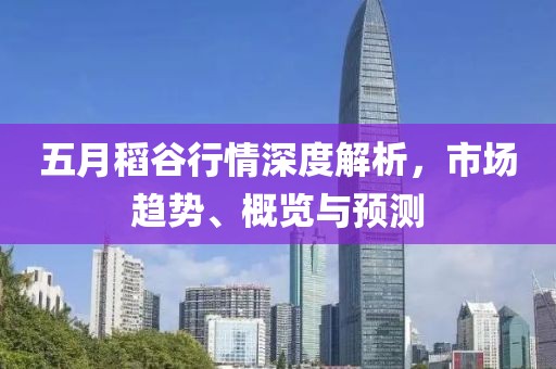 五月稻谷行情深度解析，市场趋势、概览与预测