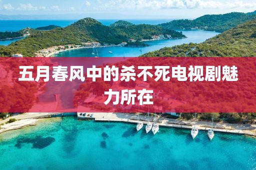 五月春风中的杀不死电视剧魅力所在