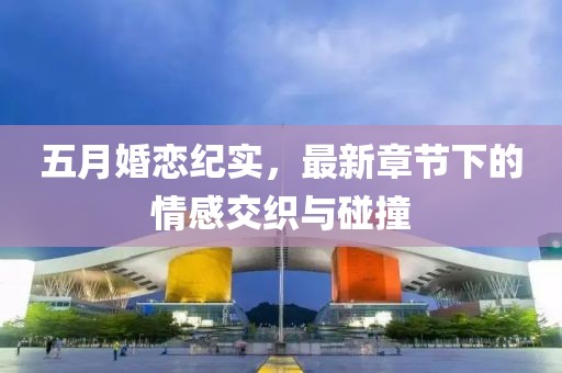 五月婚恋纪实，最新章节下的情感交织与碰撞