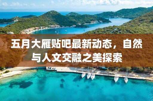 五月大雁贴吧最新动态，自然与人文交融之美探索