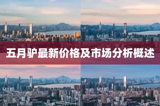 五月驴最新价格及市场分析概述