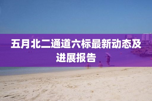 五月北二通道六标最新动态及进展报告