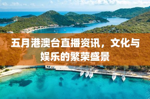五月港澳台直播资讯，文化与娱乐的繁荣盛景