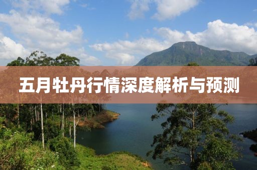 五月牡丹行情深度解析与预测