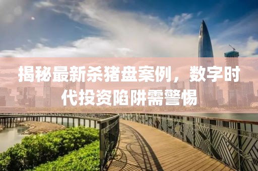 最新杀猪盘案例