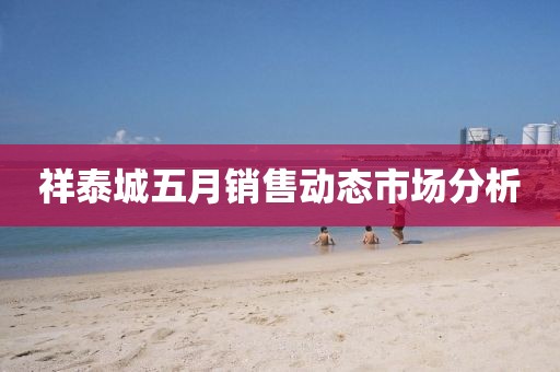 祥泰城五月销售动态市场分析