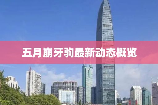 五月崩牙驹最新动态概览