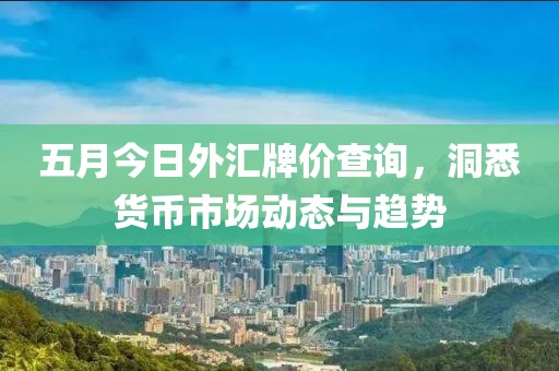 五月今日外汇牌价查询，洞悉货币市场动态与趋势