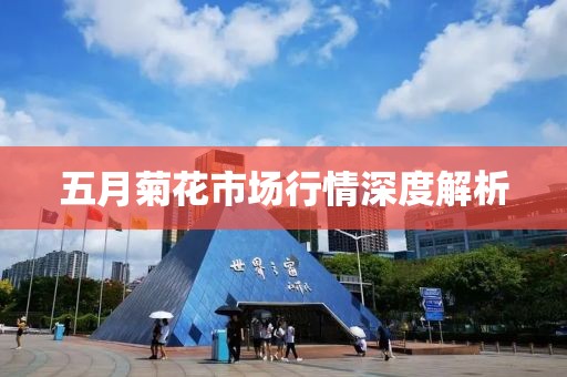 五月菊花市场行情深度解析