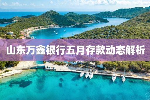 山东万鑫银行五月存款动态解析