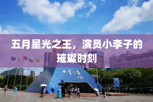 五月星光之王，演员小李子的璀璨时刻