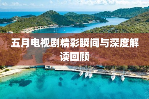 五月电视剧精彩瞬间与深度解读回顾