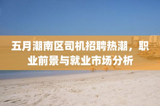 五月潮南区司机招聘热潮，职业前景与就业市场分析