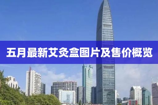 五月最新艾灸盒图片及售价概览