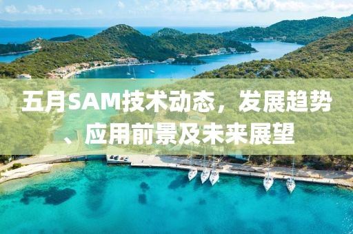 五月SAM技术动态，发展趋势、应用前景及未来展望