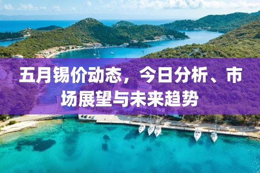五月锡价动态，今日分析、市场展望与未来趋势