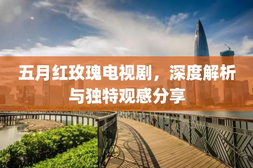 五月红玫瑰电视剧，深度解析与独特观感分享