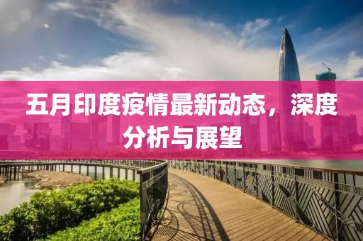 五月印度疫情最新动态，深度分析与展望