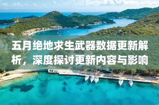 五月绝地求生武器数据更新解析，深度探讨更新内容与影响