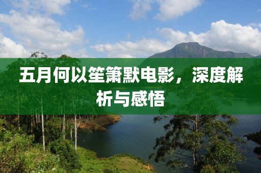 五月何以笙箫默电影，深度解析与感悟