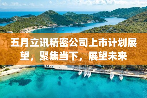 五月立讯精密公司上市计划展望，聚焦当下，展望未来