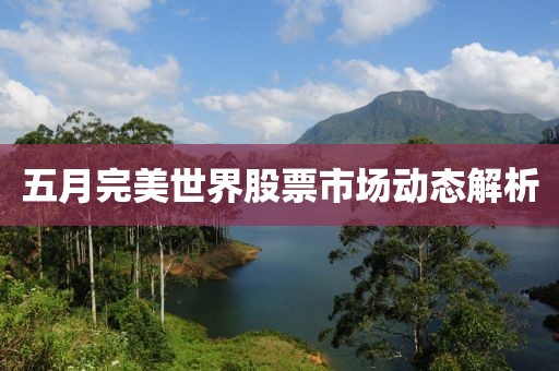 五月完美世界股票市场动态解析