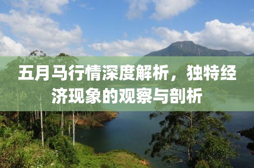 五月马行情深度解析，独特经济现象的观察与剖析