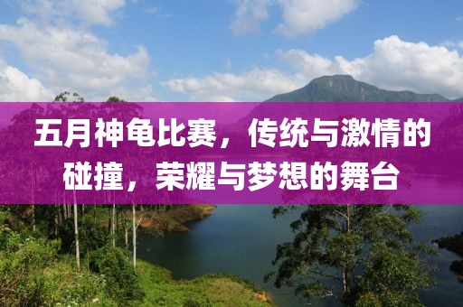 五月神龟比赛，传统与激情的碰撞，荣耀与梦想的舞台