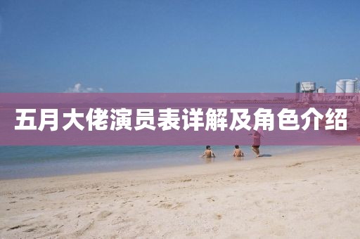 五月大佬演员表详解及角色介绍