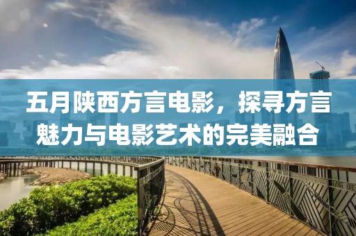 五月陕西方言电影，探寻方言魅力与电影艺术的完美融合