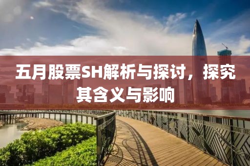 五月股票SH解析与探讨，探究其含义与影响