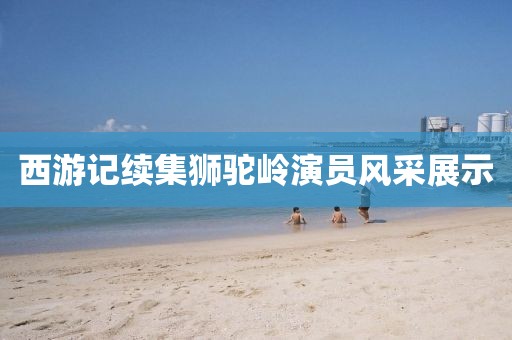 西游记续集狮驼岭演员风采展示