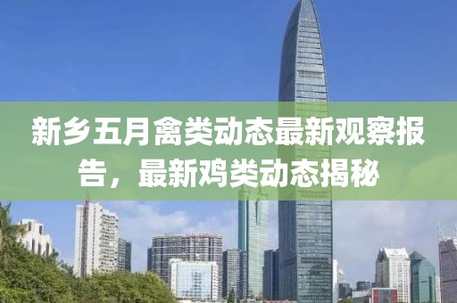 新乡五月禽类动态最新观察报告，最新鸡类动态揭秘