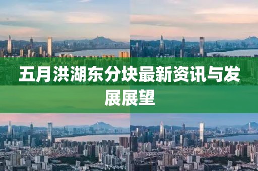 五月洪湖东分块最新资讯与发展展望