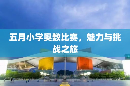 五月小学奥数比赛，魅力与挑战之旅
