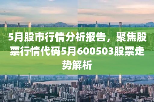 5月股市行情分析报告，聚焦股票行情代码5月600503股票走势解析