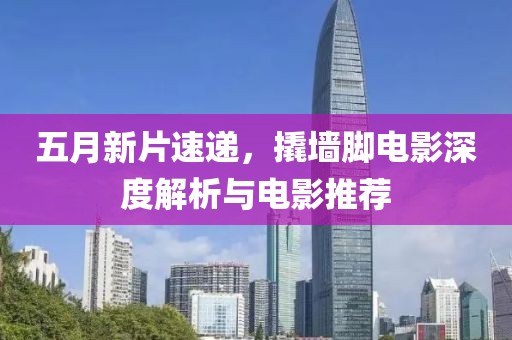 五月新片速递，撬墙脚电影深度解析与电影推荐