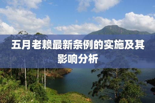 五月老赖最新条例的实施及其影响分析