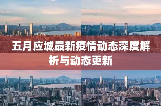 五月应城最新疫情动态深度解析与动态更新