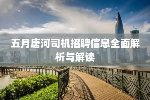 五月唐河司机招聘信息全面解析与解读